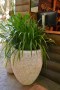 white stone pot
